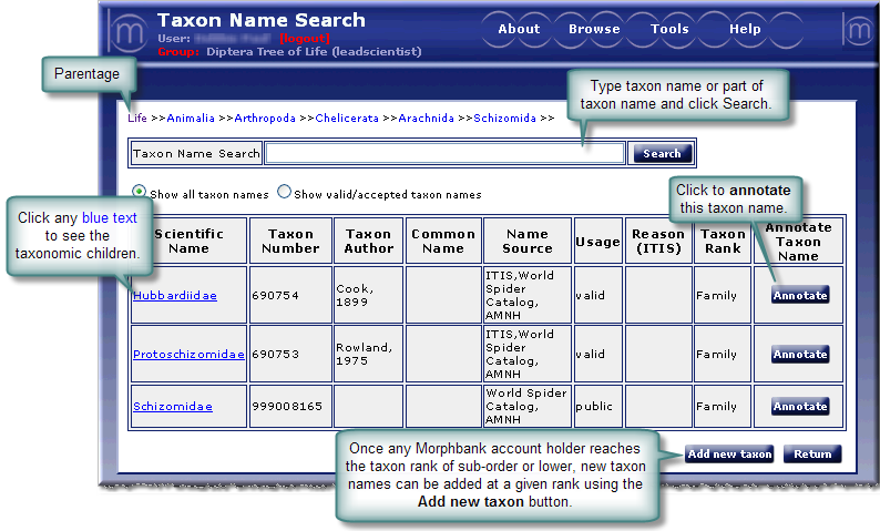 taxon name search screen